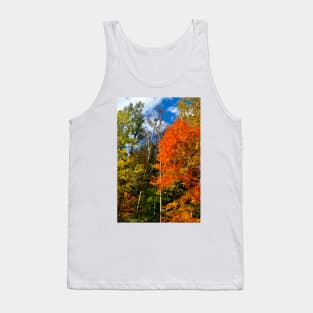 Magnificent Colors Tank Top